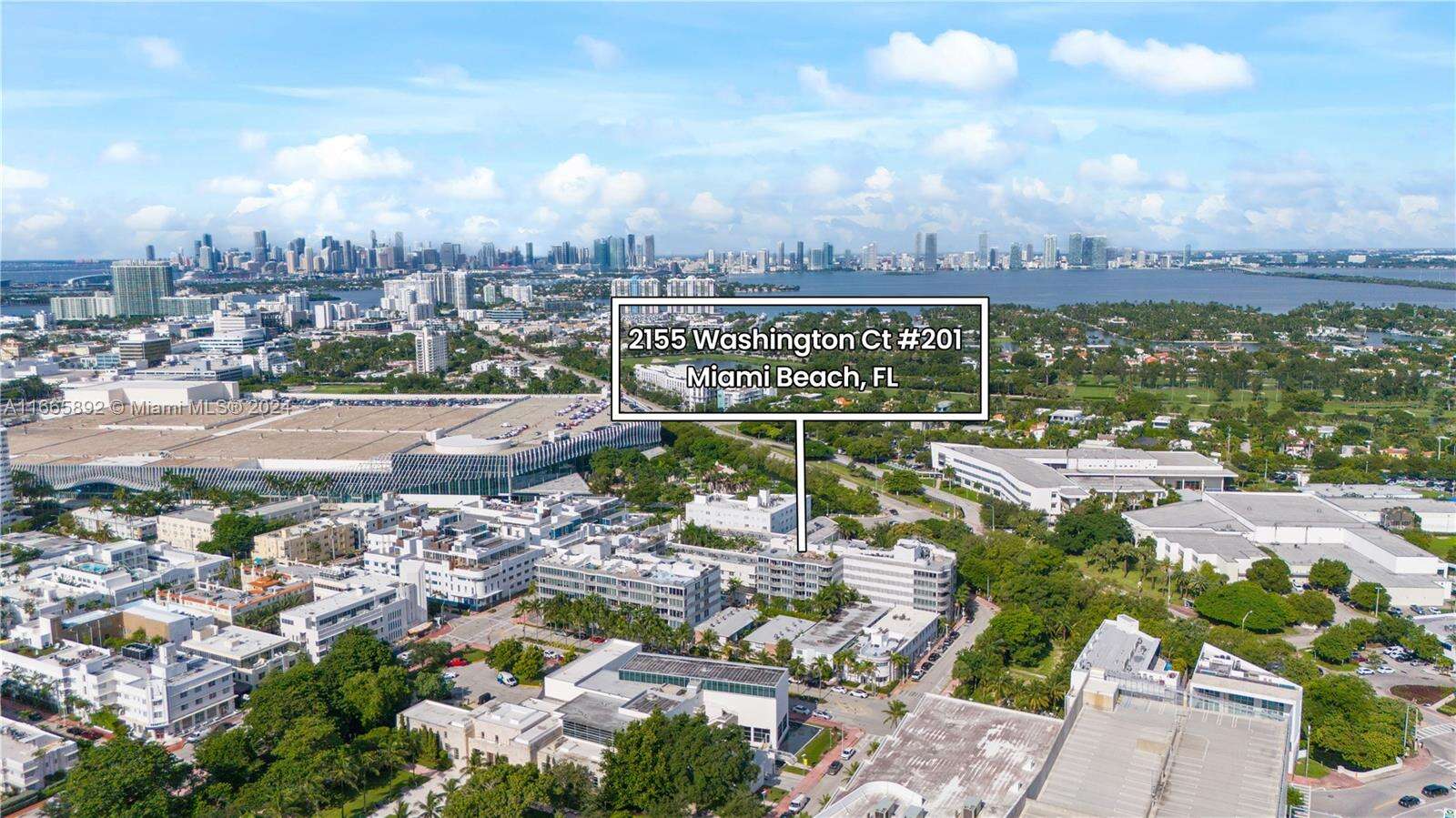 Artecity Unit #201 | Picture 25