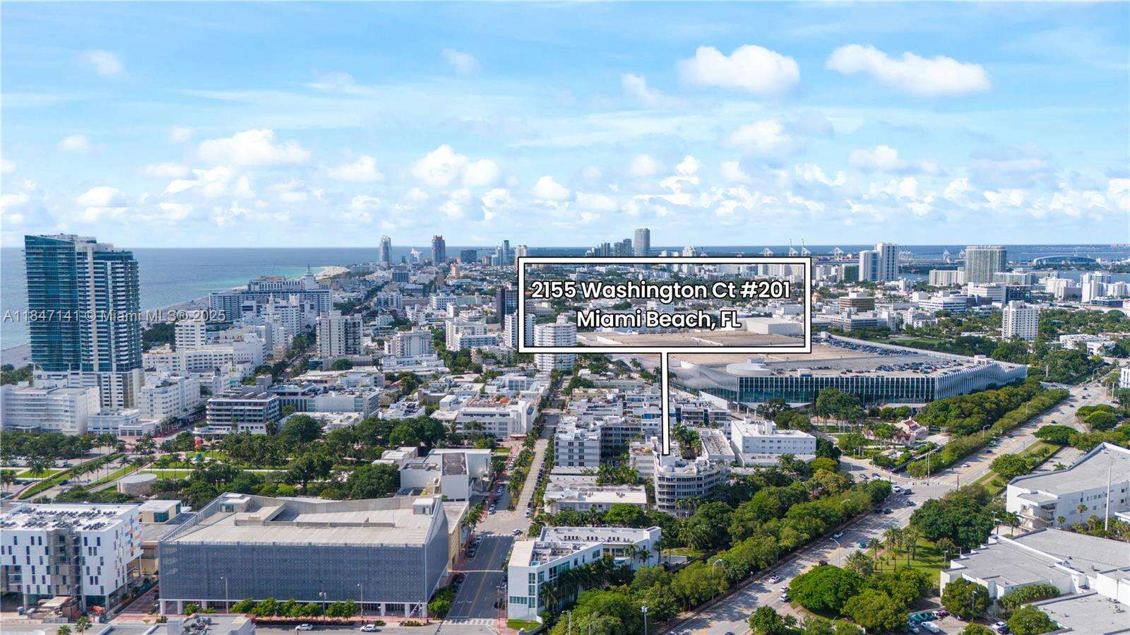 Artecity Unit #201 | Picture 29